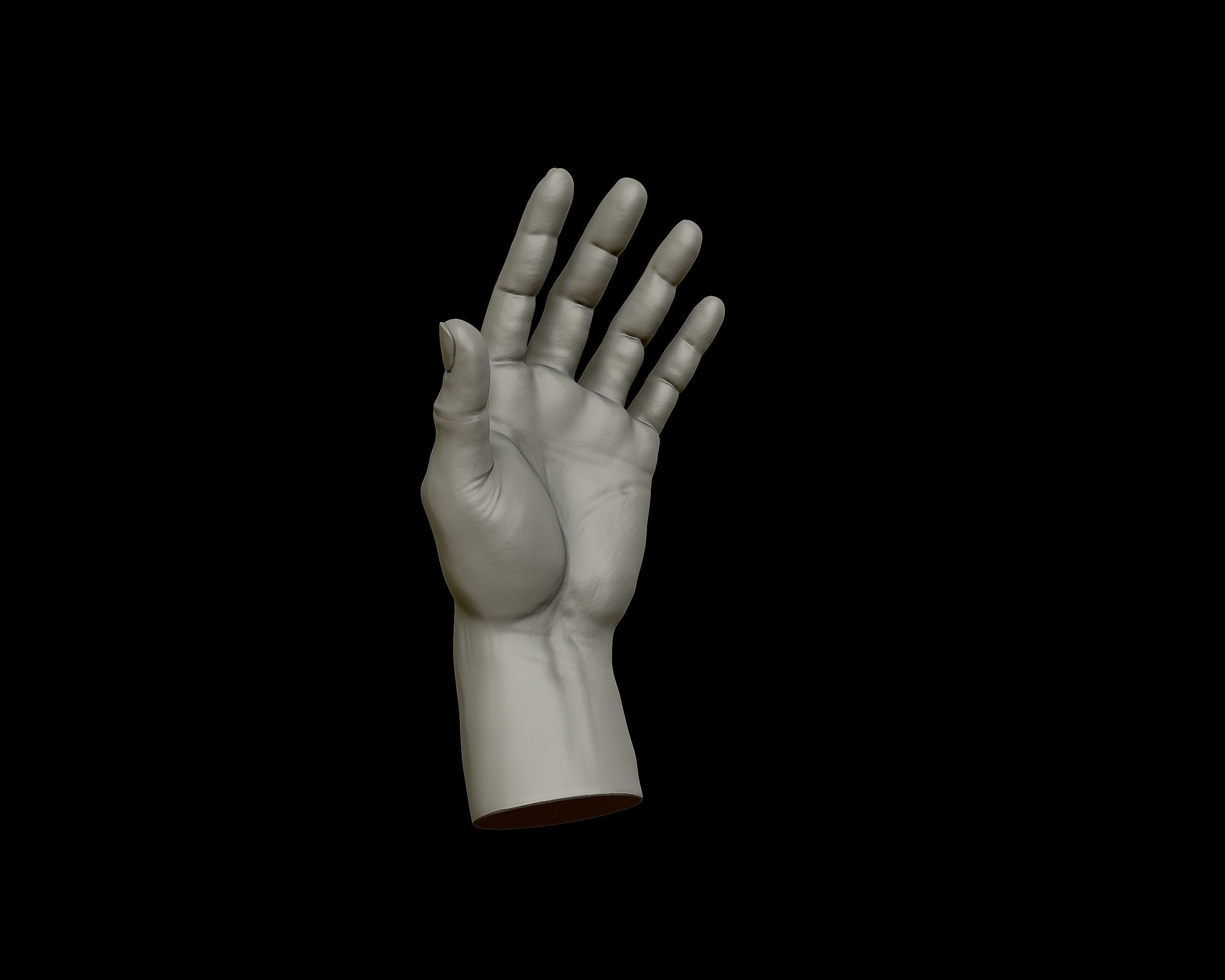 Hands anatomy collection 3D print model_18