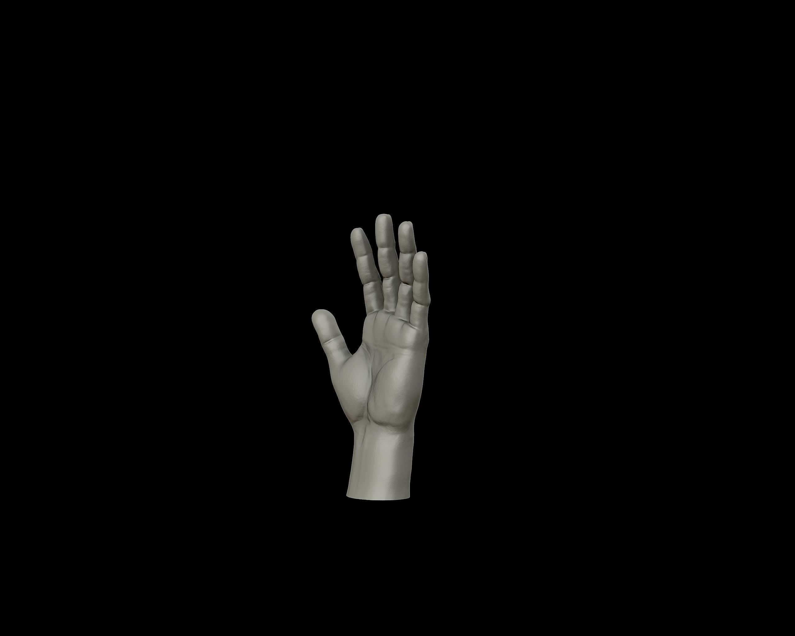 Hands anatomy collection 3D print model_13