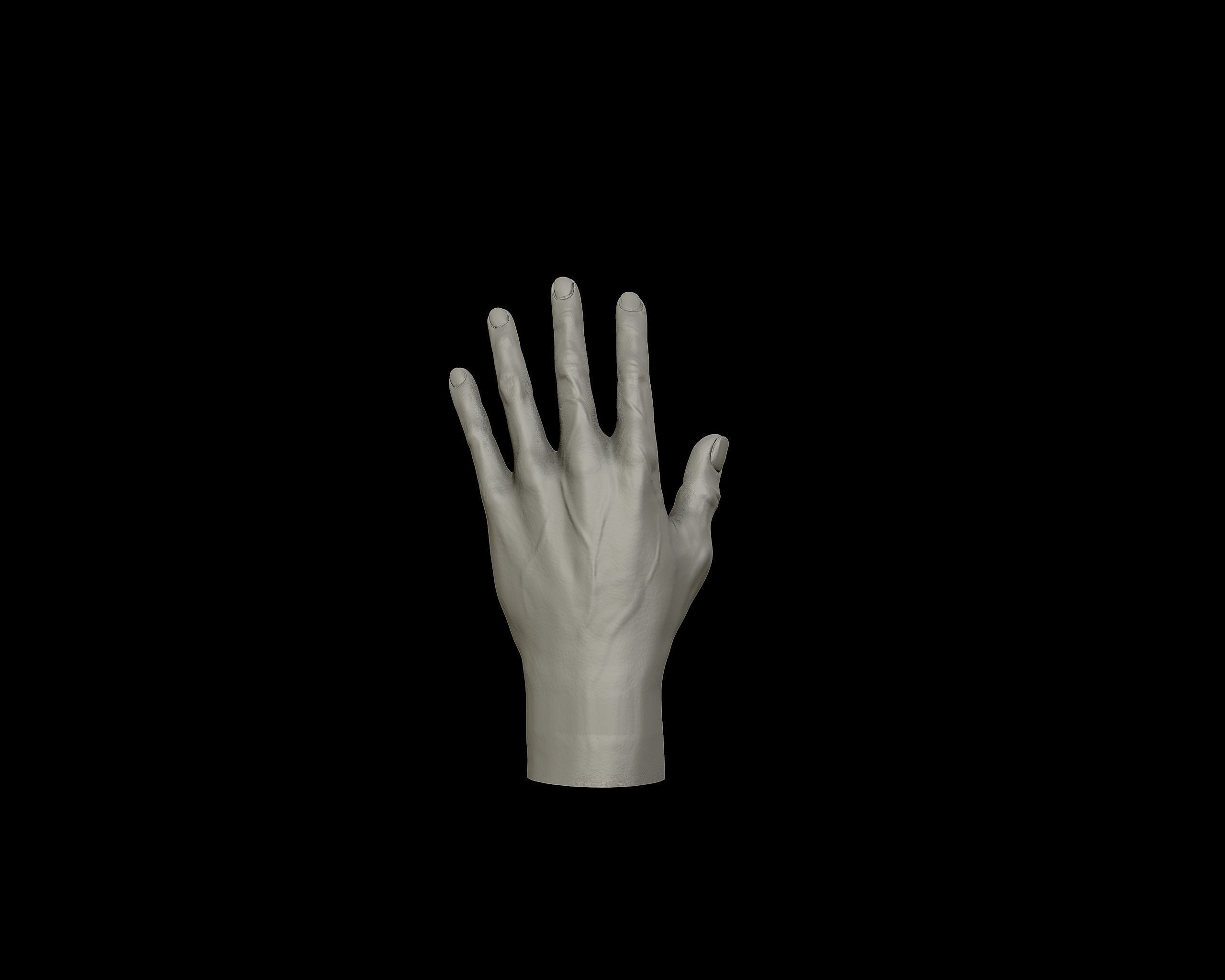 Hands anatomy collection 3D print model_14