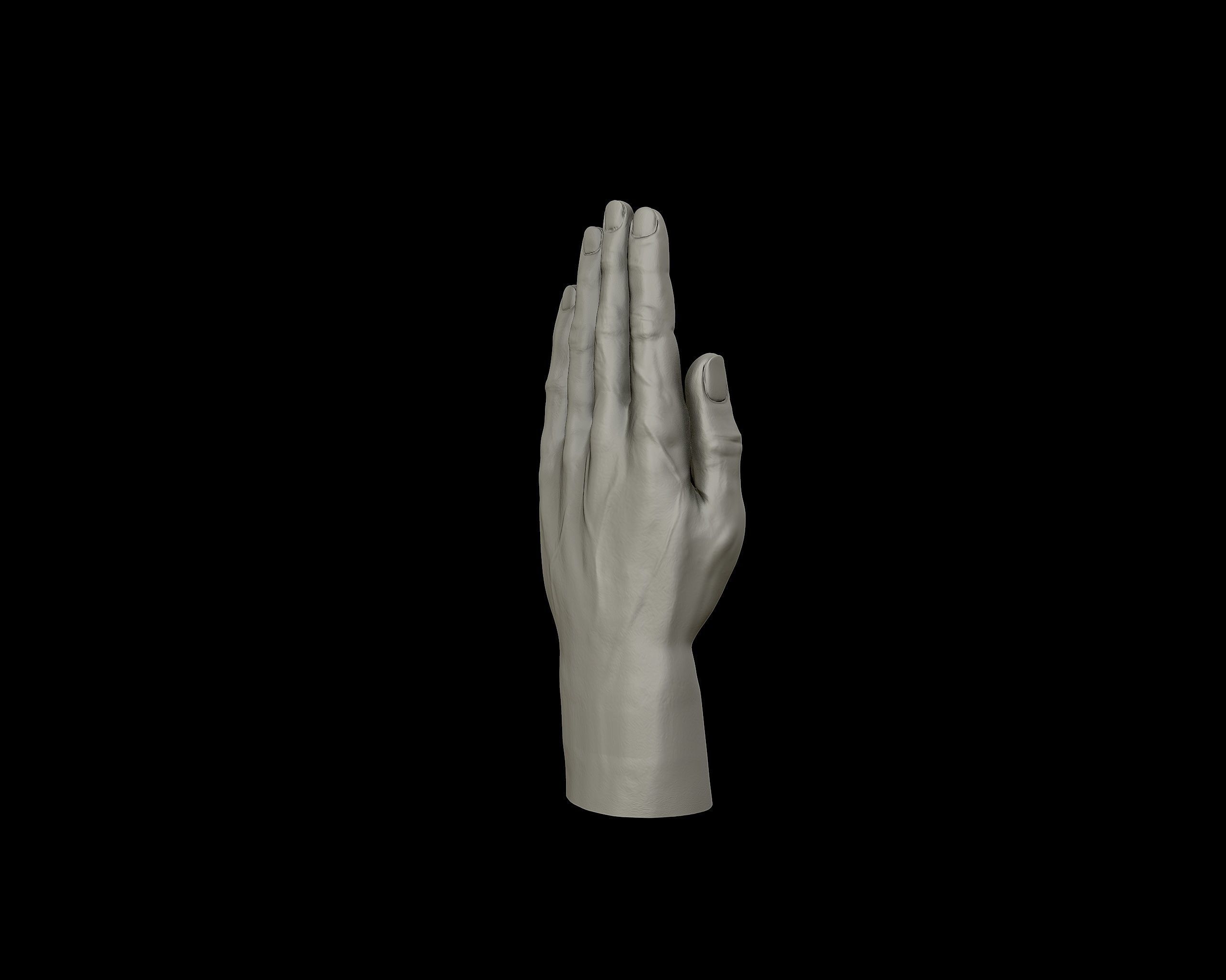 Hands anatomy collection 3D print model_25