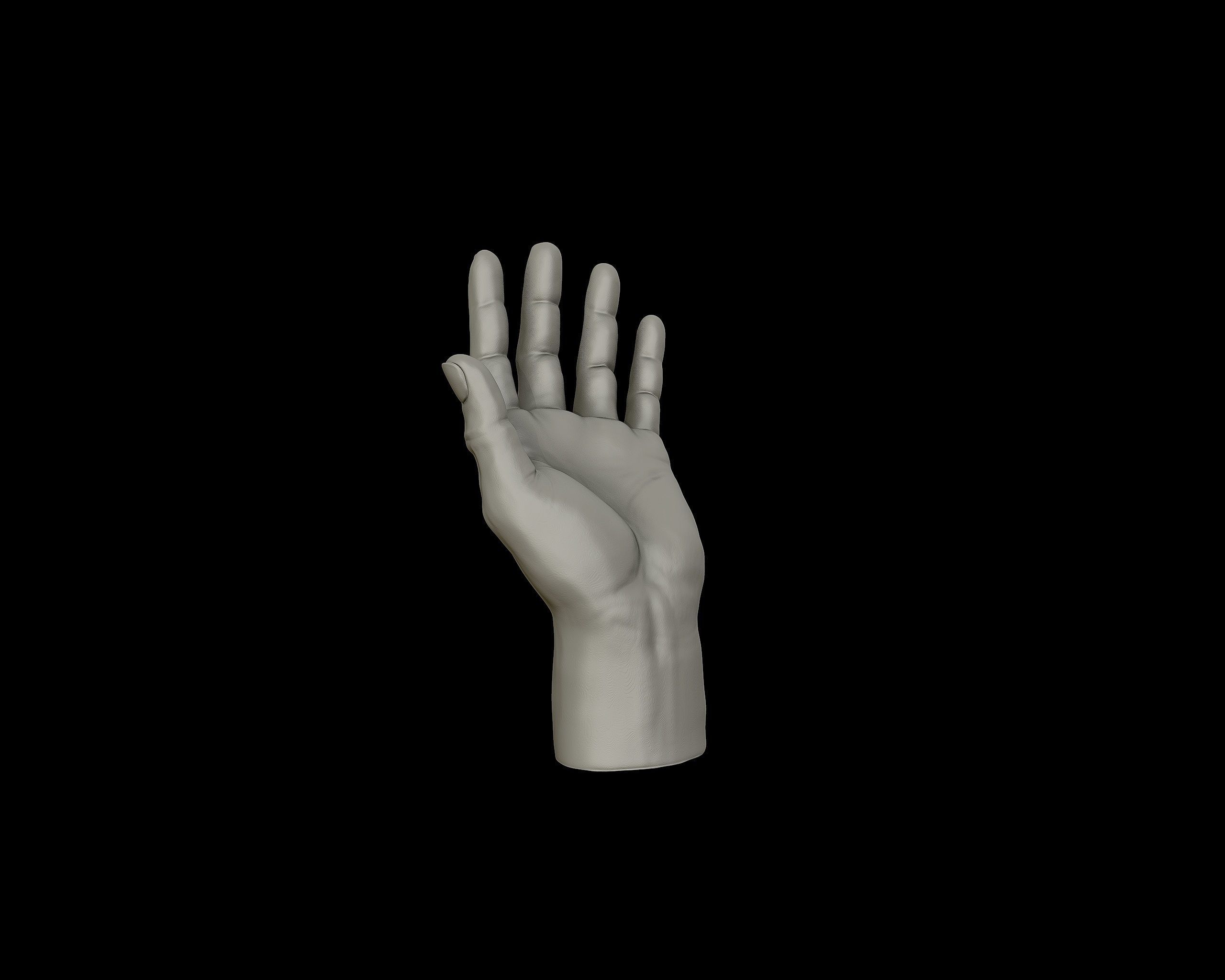 Hands anatomy collection 3D print model_15
