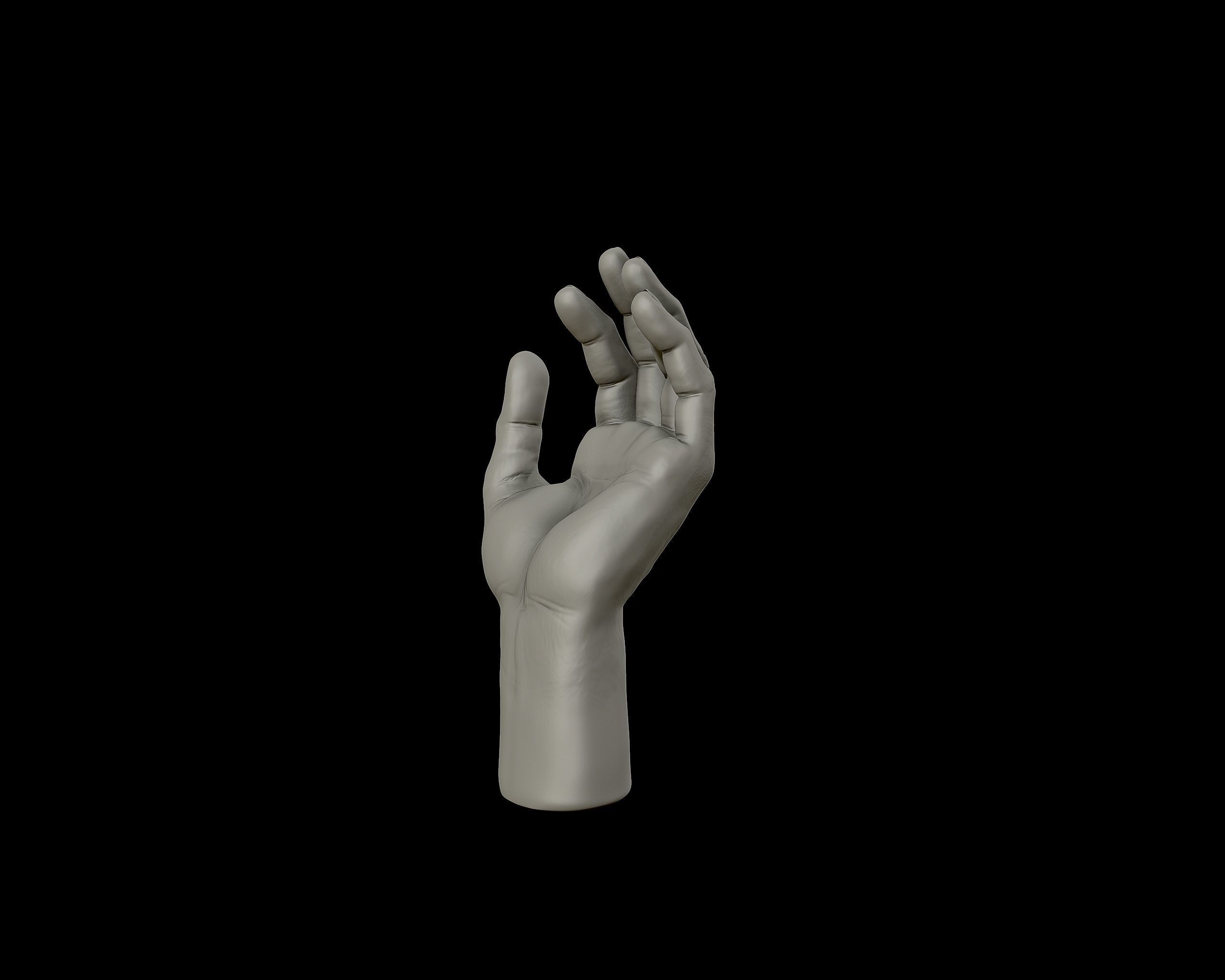 Hands anatomy collection 3D print model_27