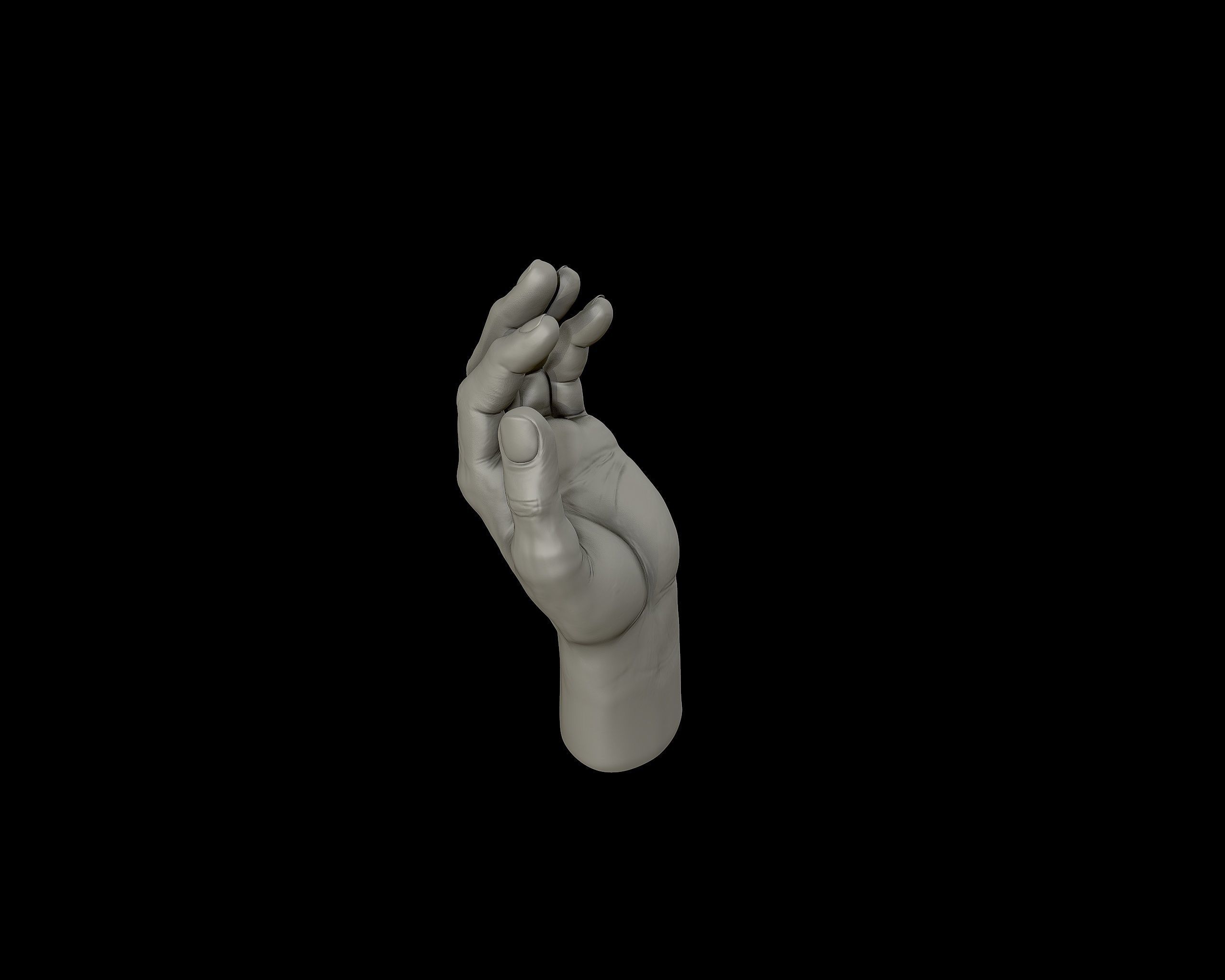 Hands anatomy collection 3D print model_29