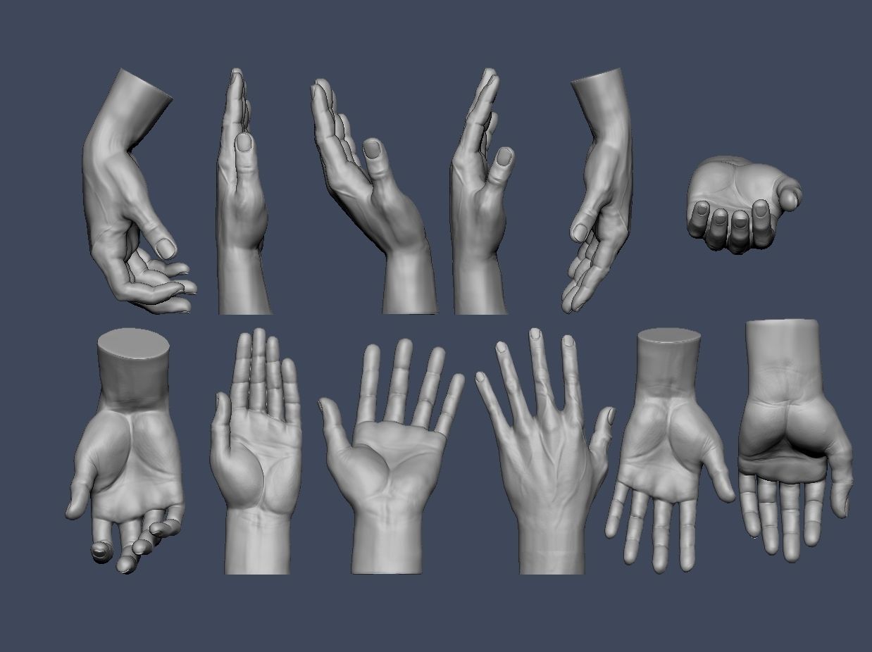 Hands anatomy collection 3D print model_11