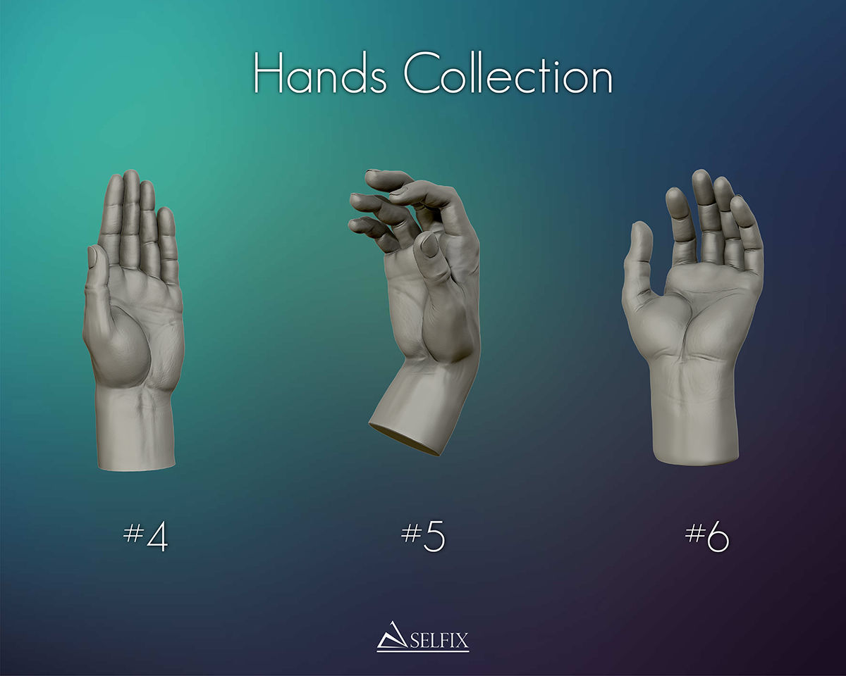 Hands anatomy collection 3D print model_4