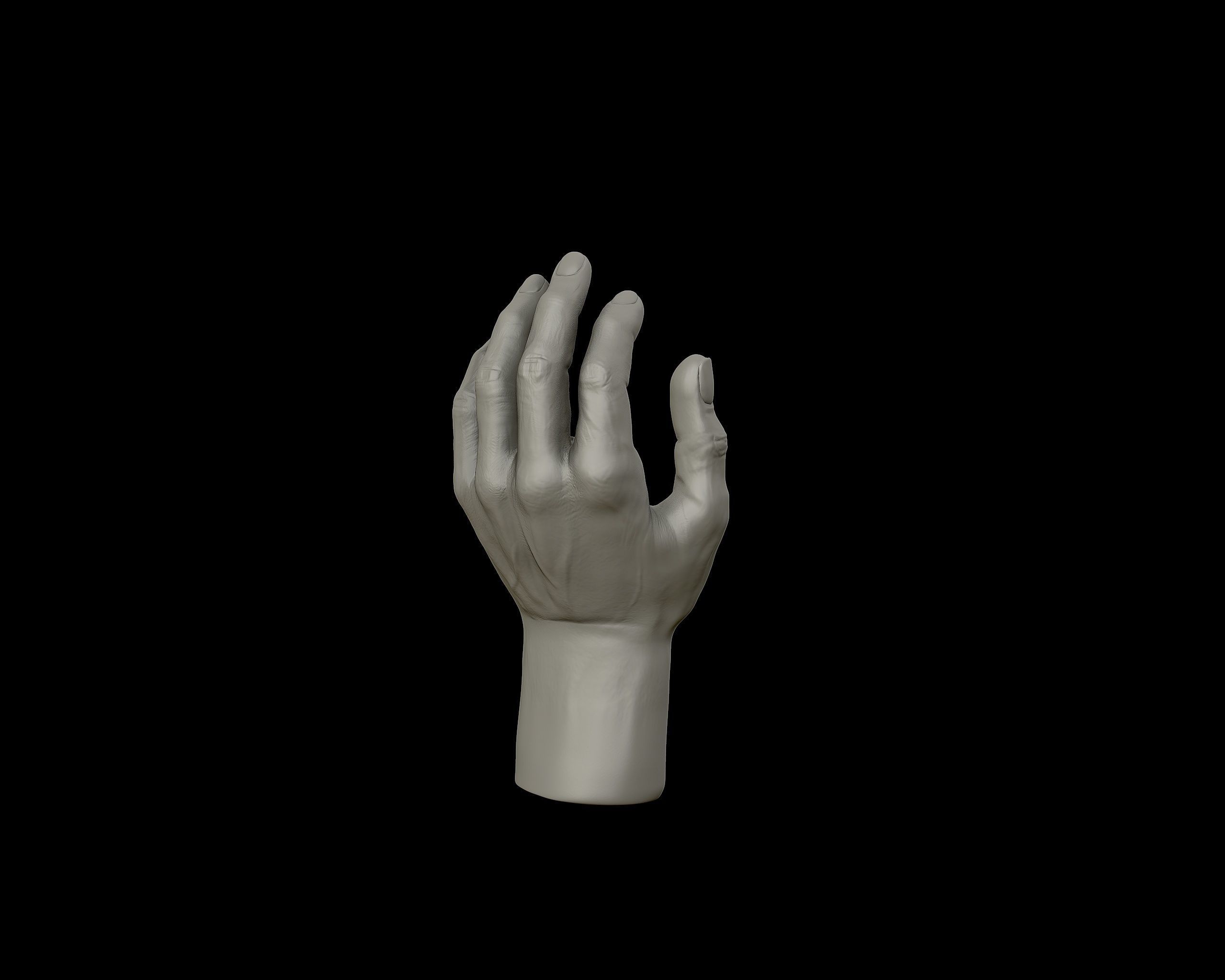 Hands anatomy collection 3D print model_28