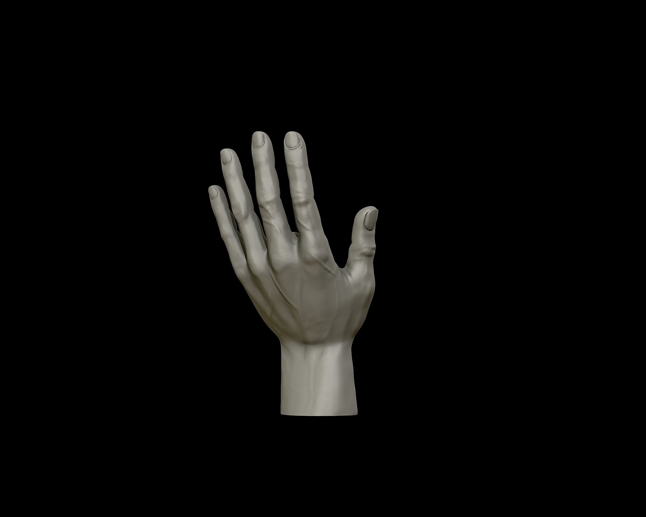 Hands anatomy collection 3D print model_17
