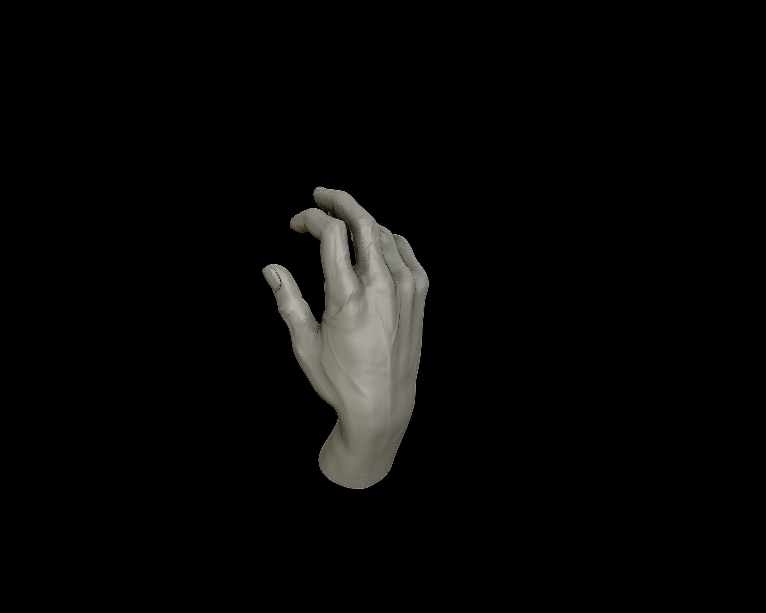 Hands anatomy collection 3D print model_22