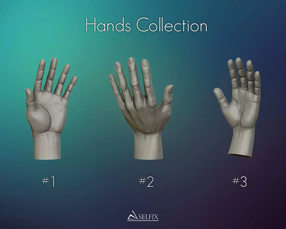 Hands anatomy collection 3D print model_0