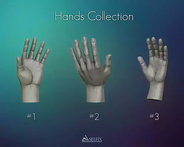Hands anatomy collection