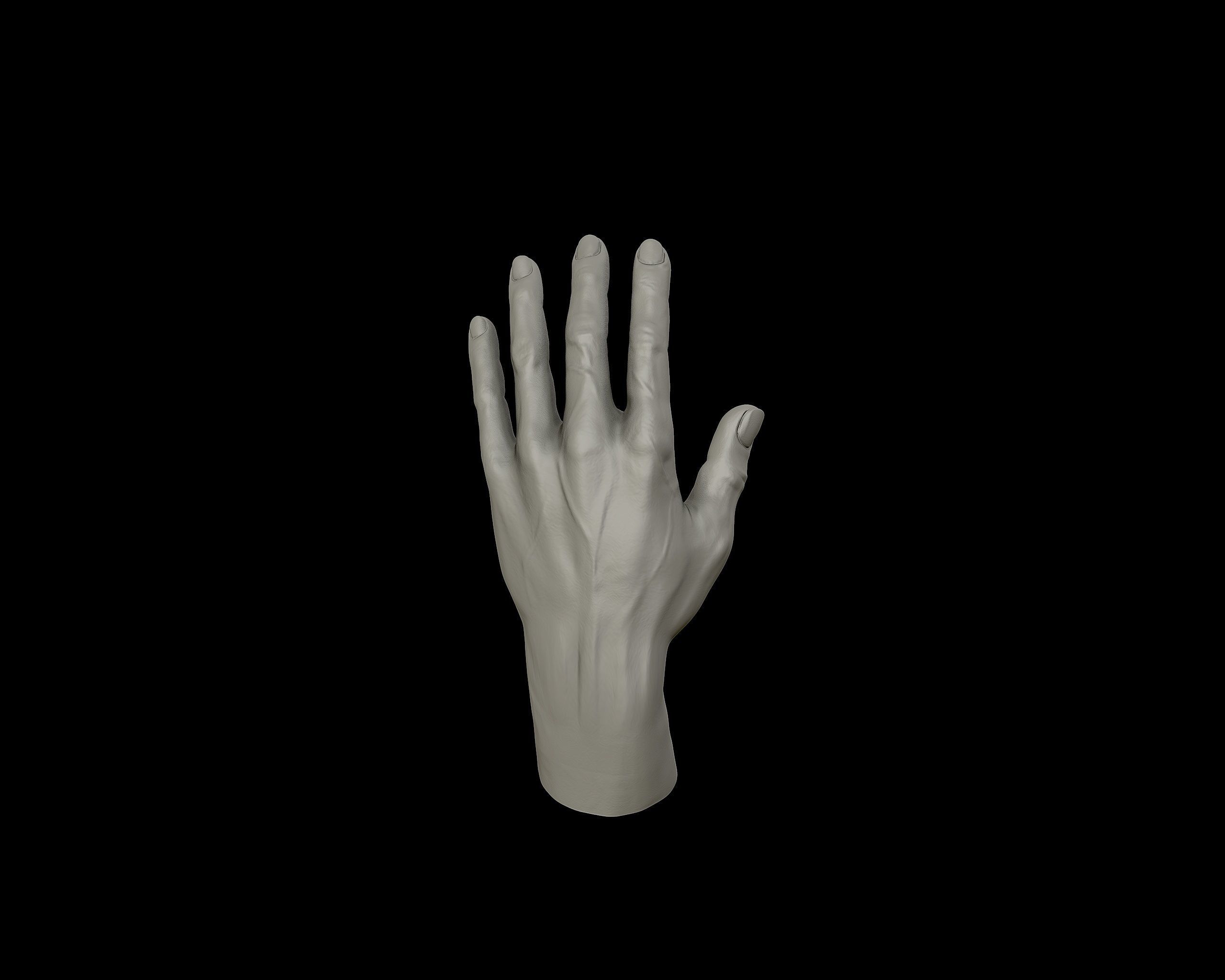 Hands anatomy collection 3D print model_19