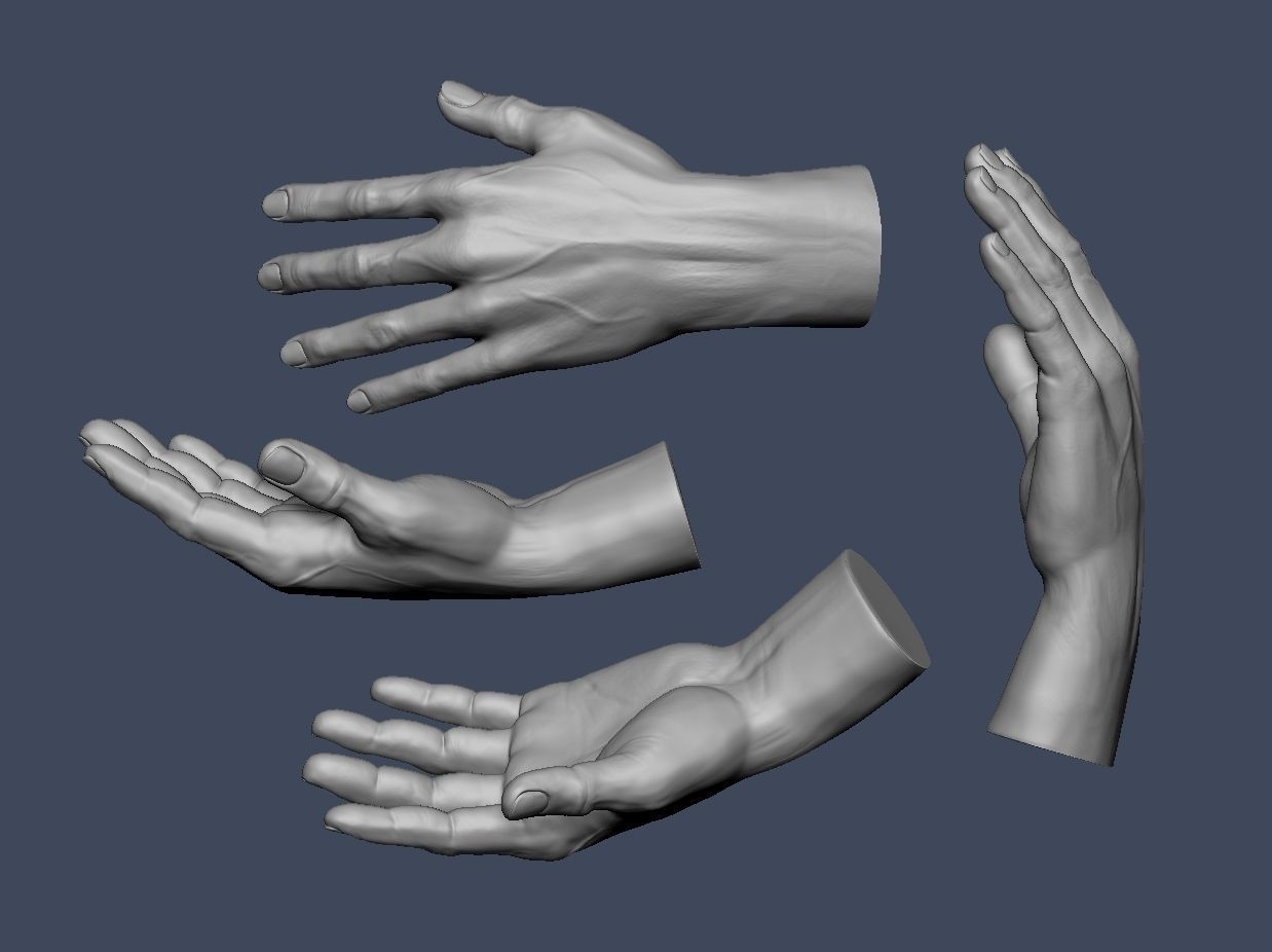 Hands anatomy collection 3D print model_10