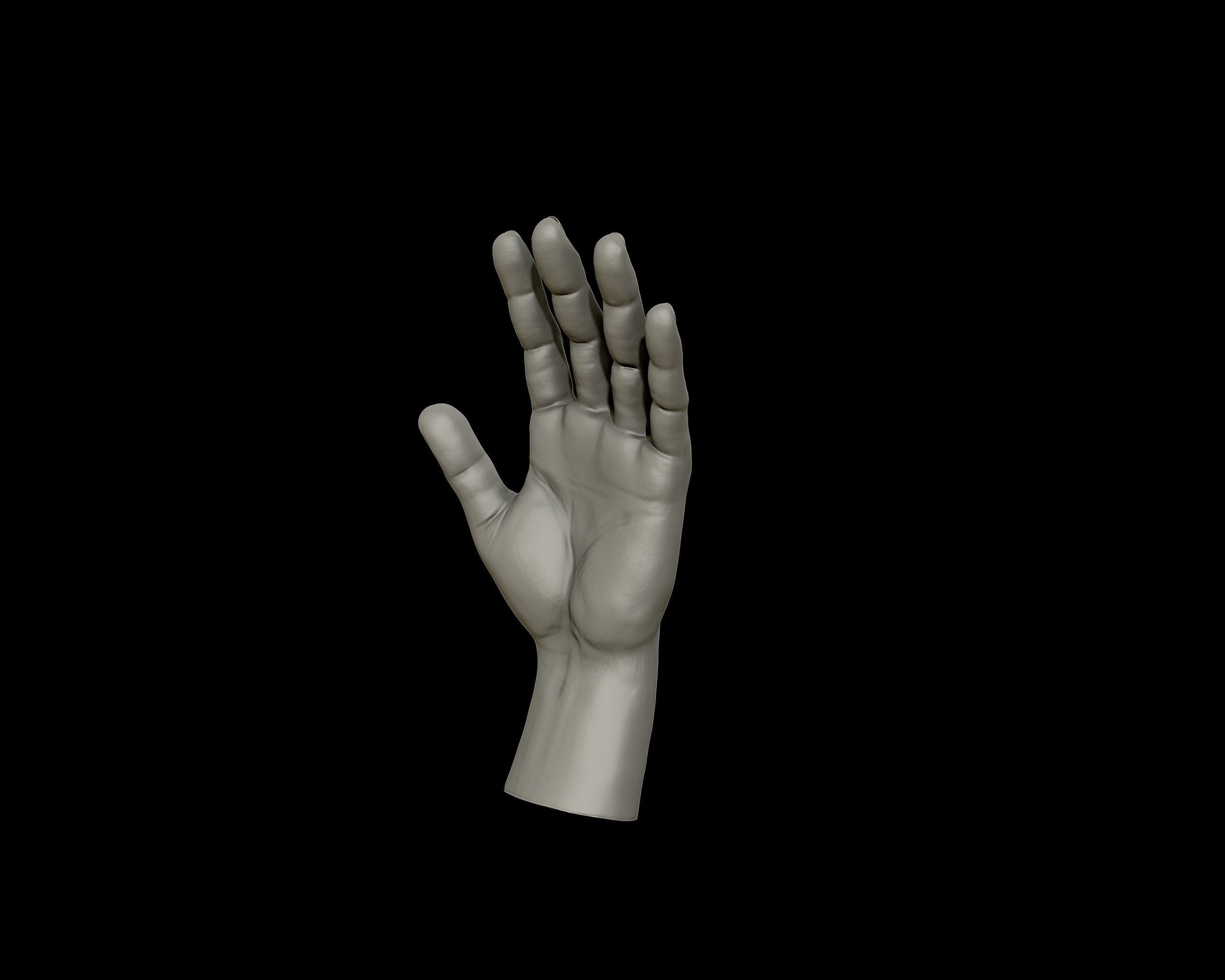 Hands anatomy collection 3D print model_20