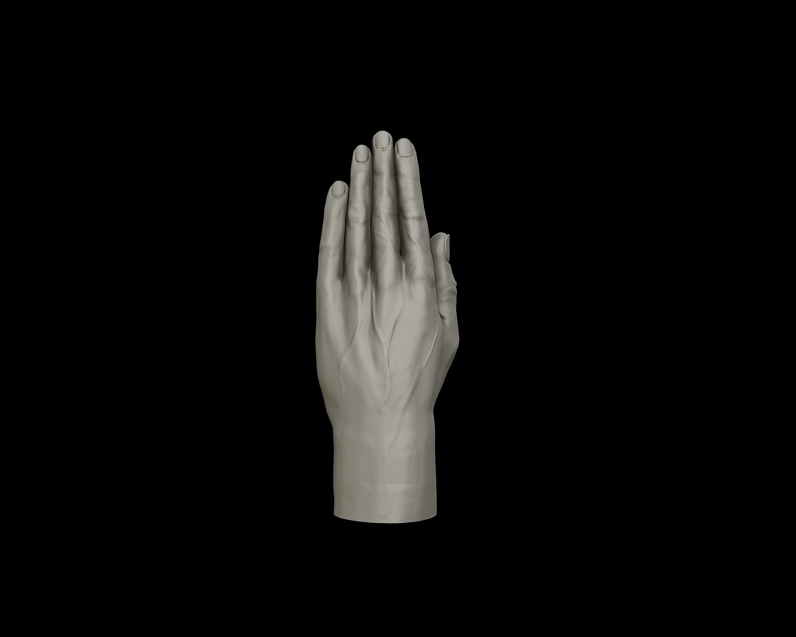 Hands anatomy collection 3D print model_26