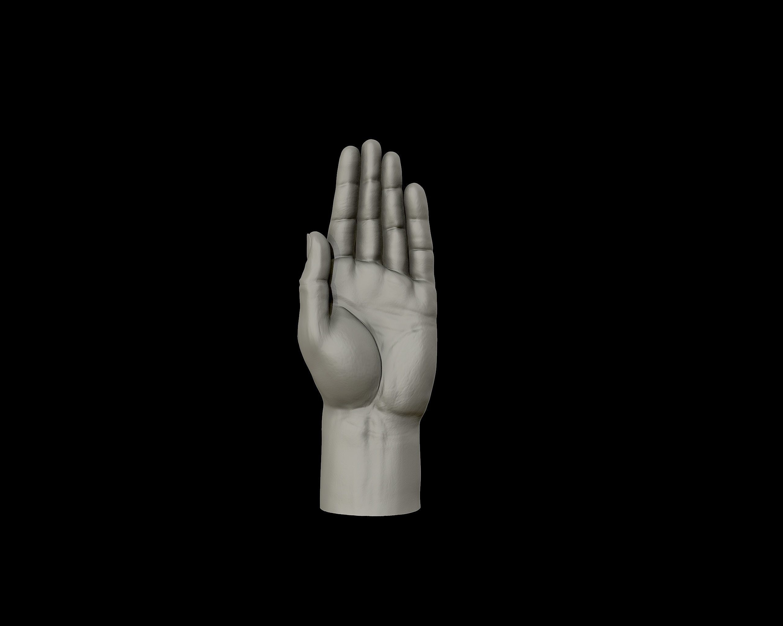 Hands anatomy collection 3D print model_24