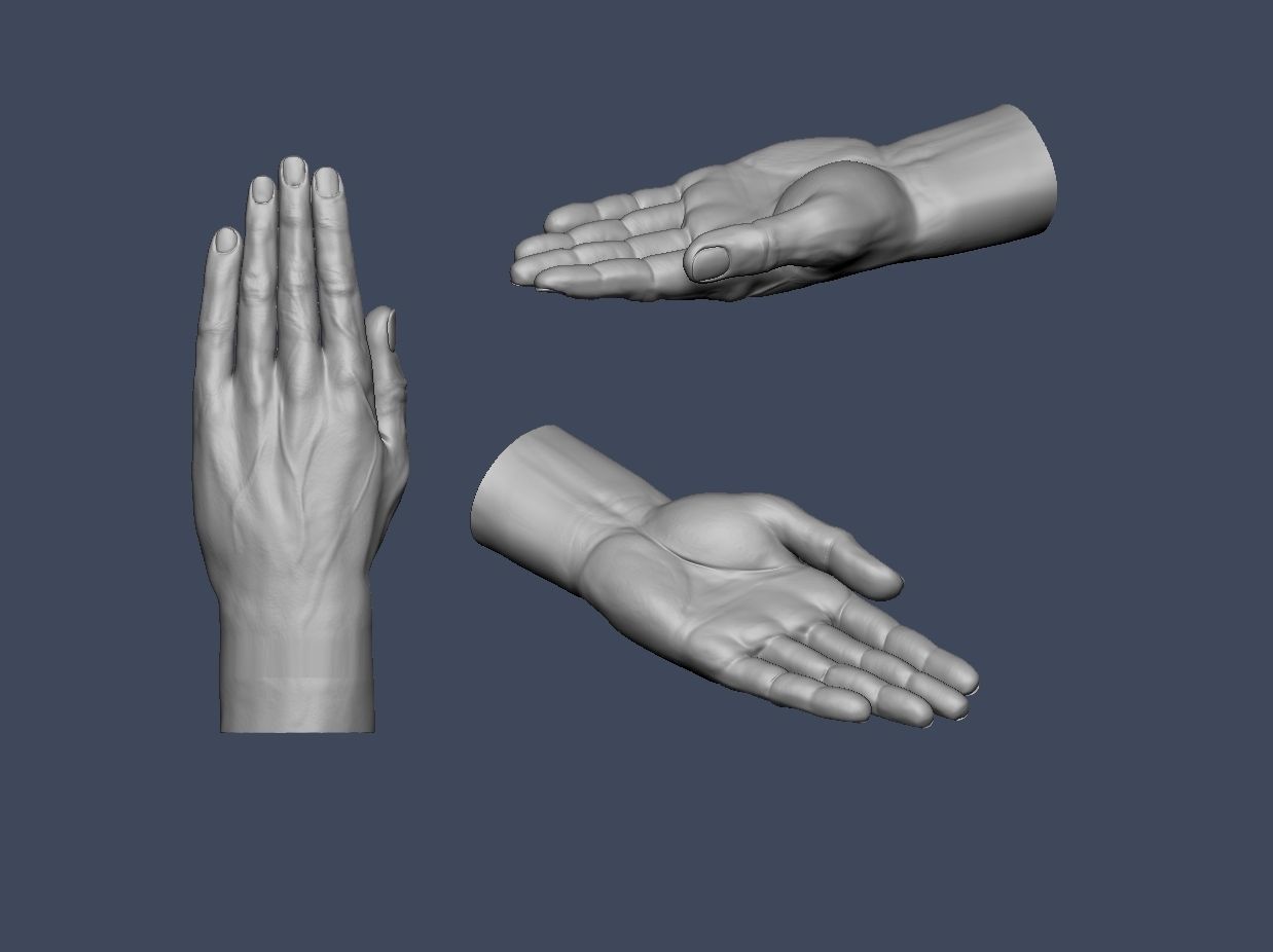 Hands anatomy collection 3D print model_6