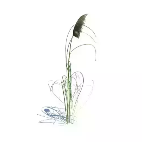 Green Leafy Plant And Vines