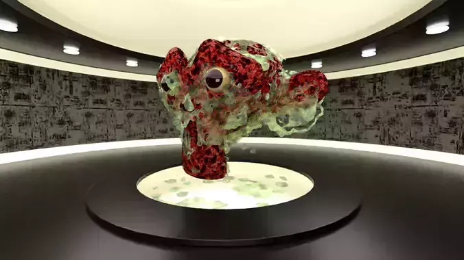 Show Case ReadyMade for Models