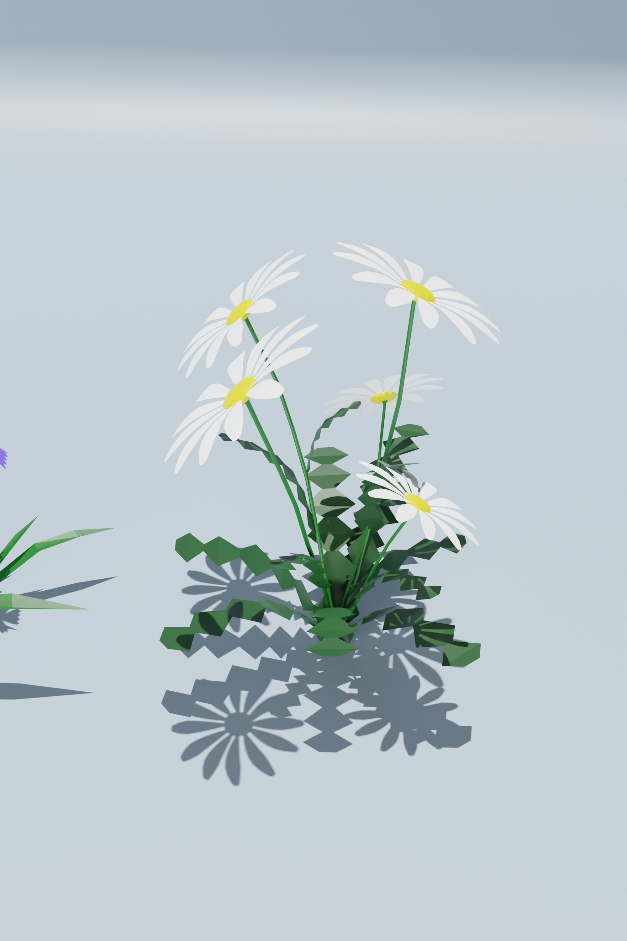 10 low poly Flowers Plant Low-poly 3D model_6
