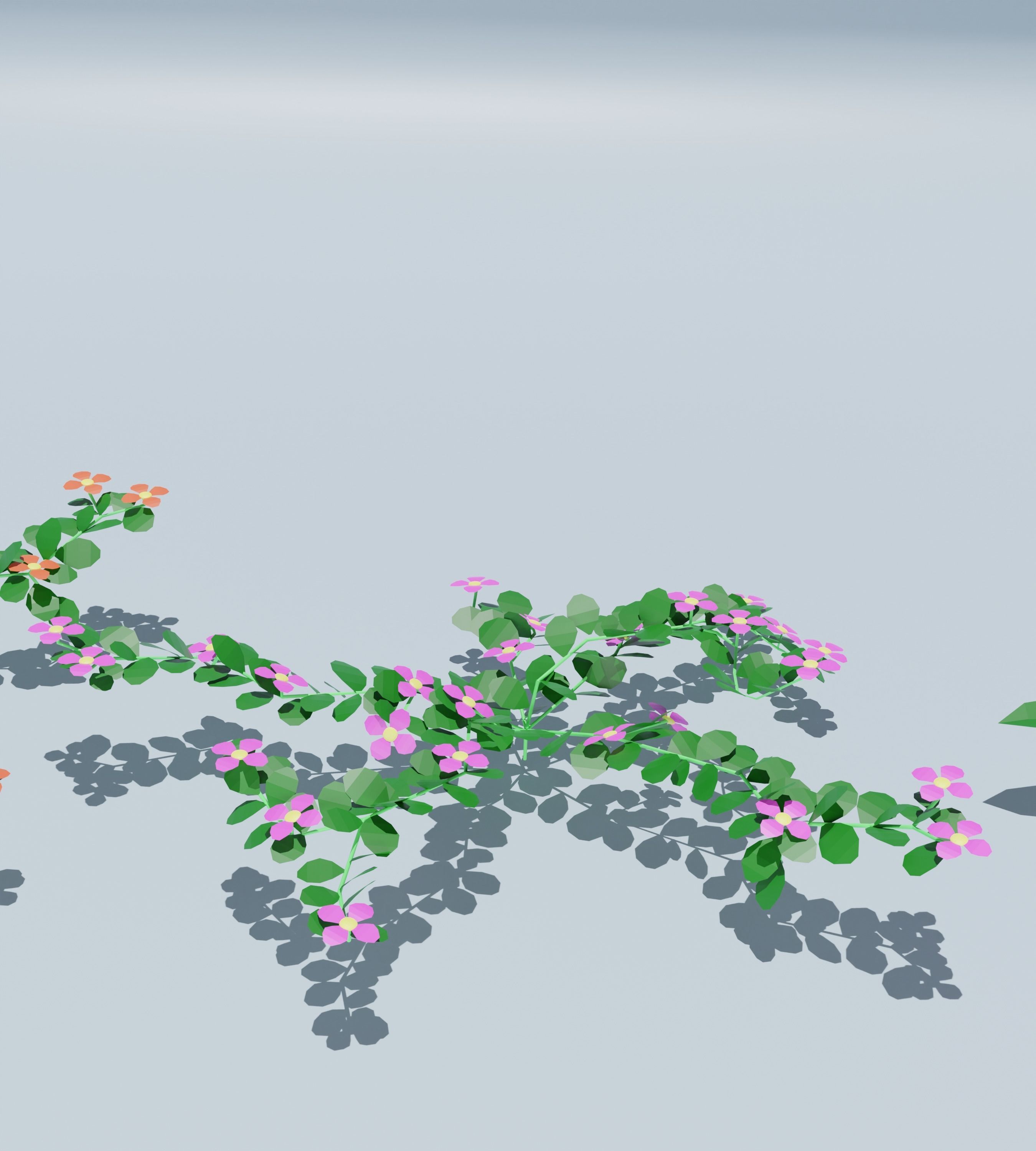 10 low poly Flowers Plant Low-poly 3D model_11