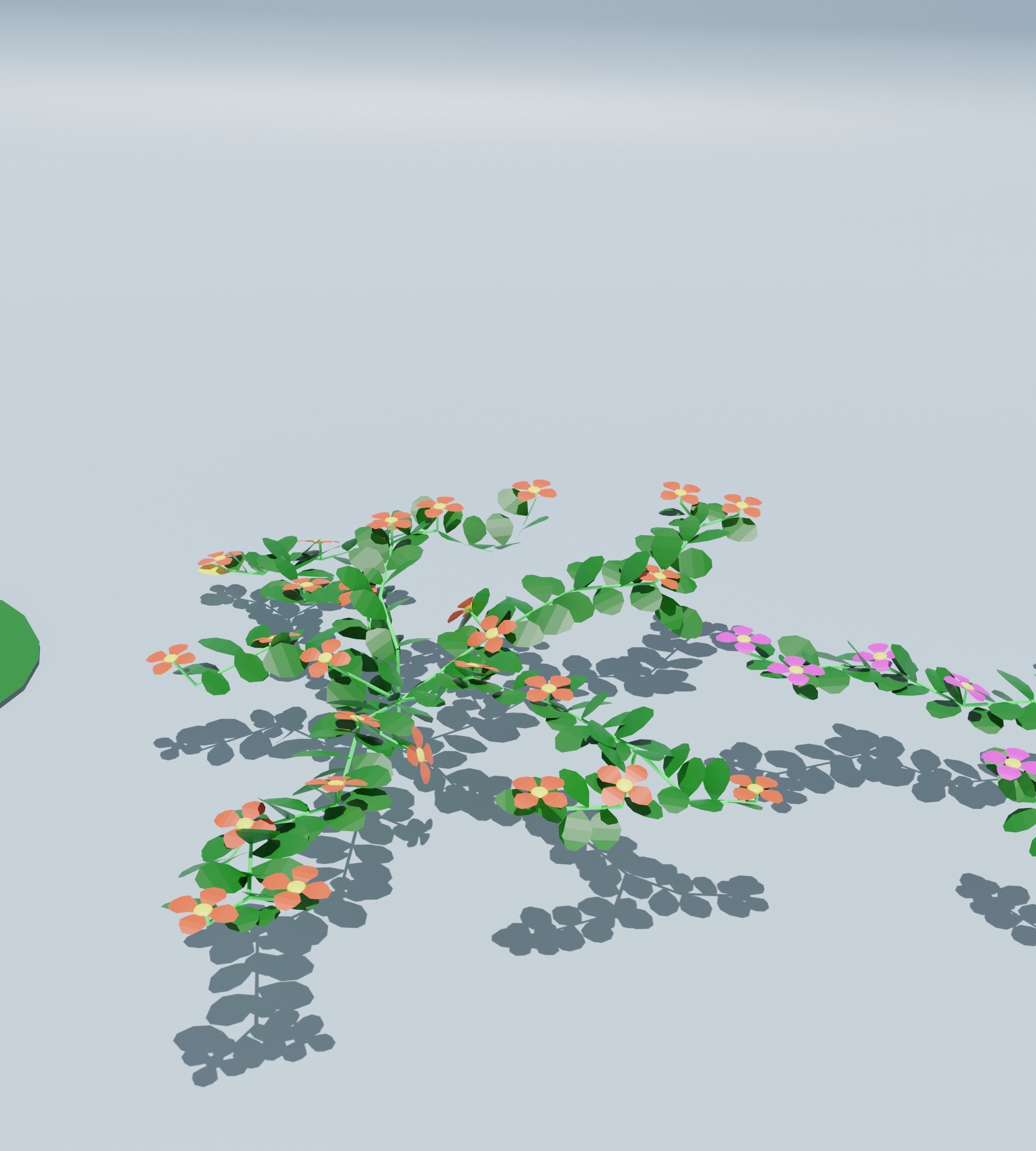 10 low poly Flowers Plant Low-poly 3D model_13