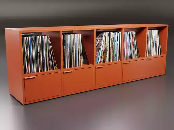 Vinyl Storage No28