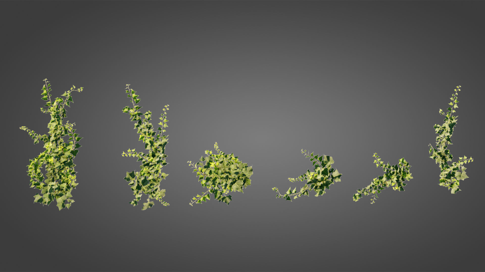 Abandoned city street collection _25