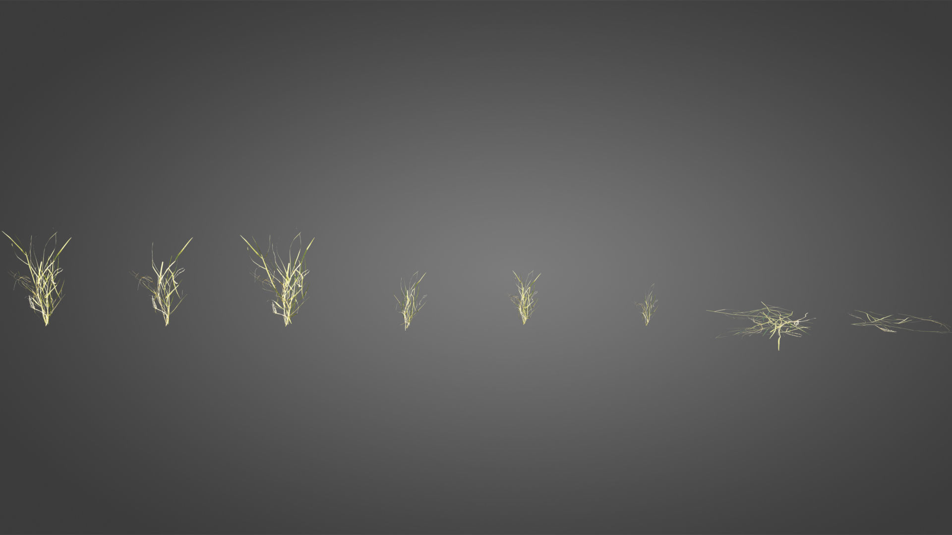 Abandoned city street collection _22