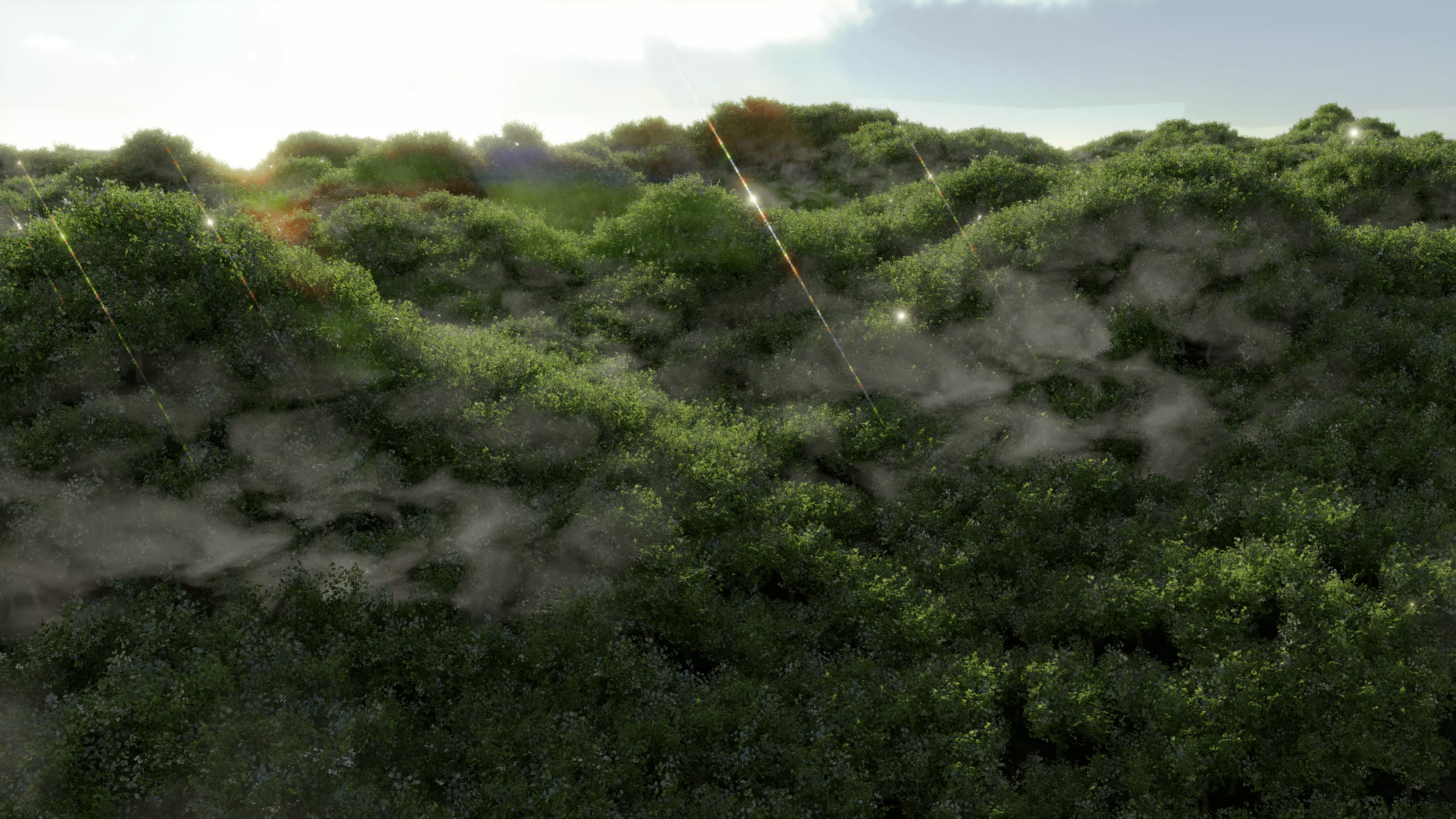 Forest Scene Low-poly 3D model_0