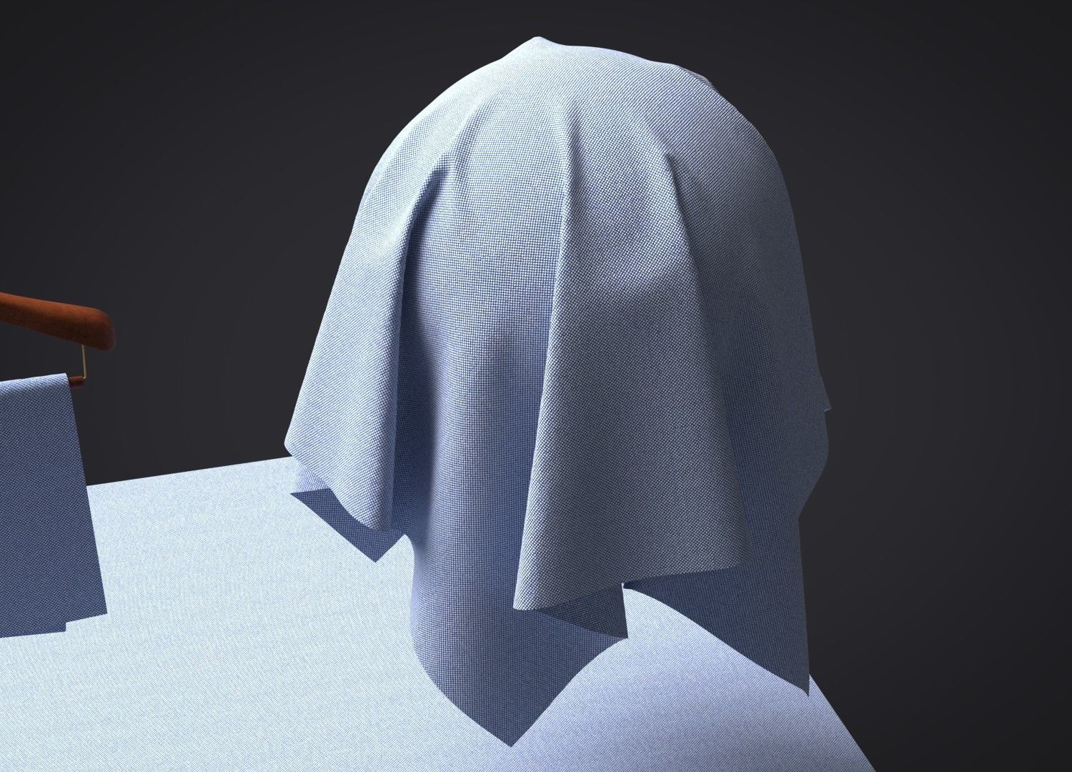 Cotton Oxford Fabric 3D model_4