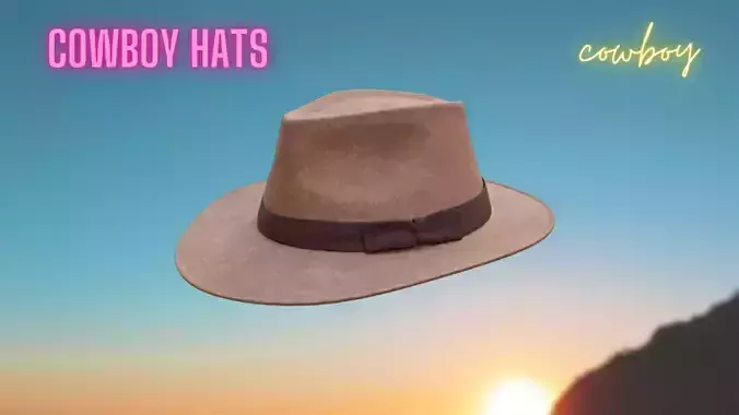 CowBoy Hat