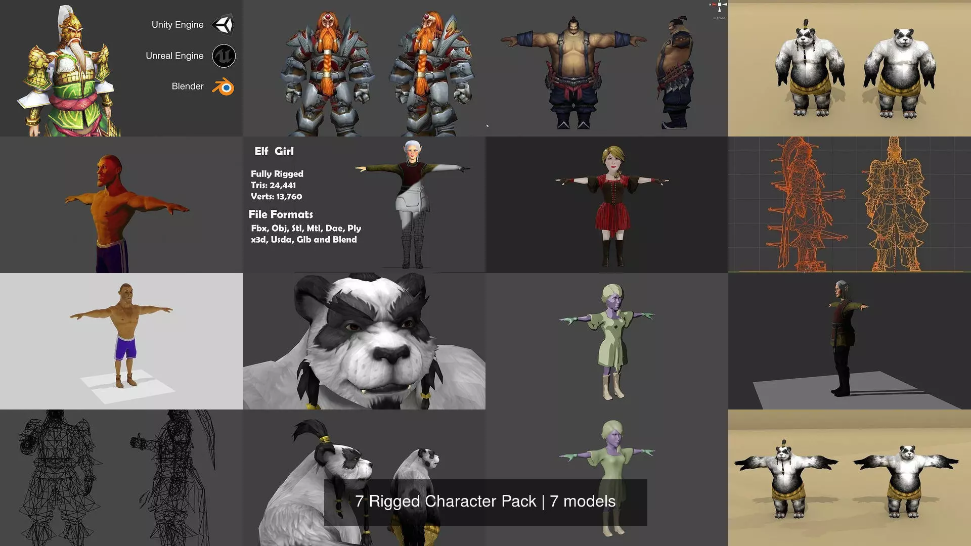 7 Rigged Character Pack 3D Model Collection_0