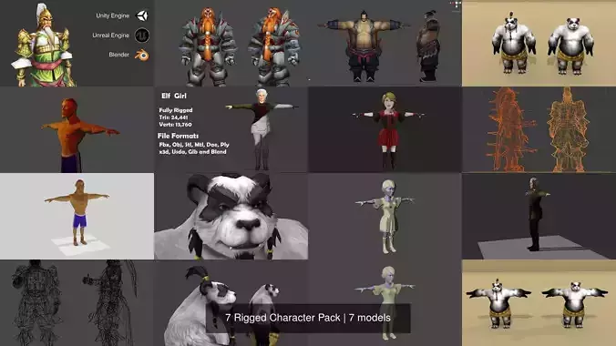 7 Rigged Character Pack 3D Model Collection