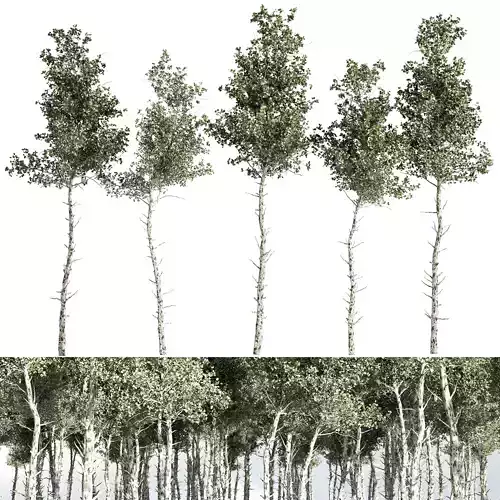 tree vol 02 3D model