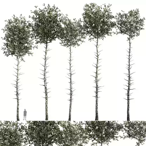 tree vol 03 3D model