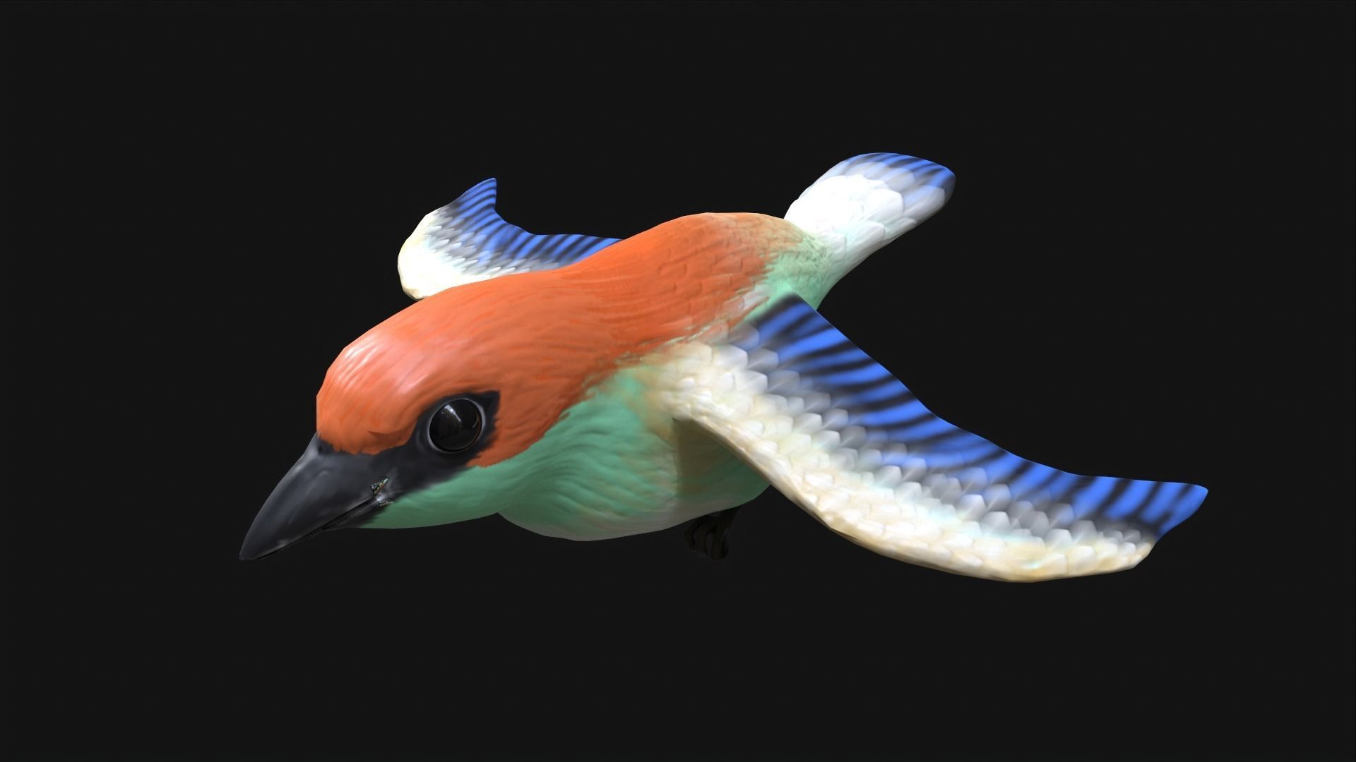 Achara Bird Free low-poly 3D model_4