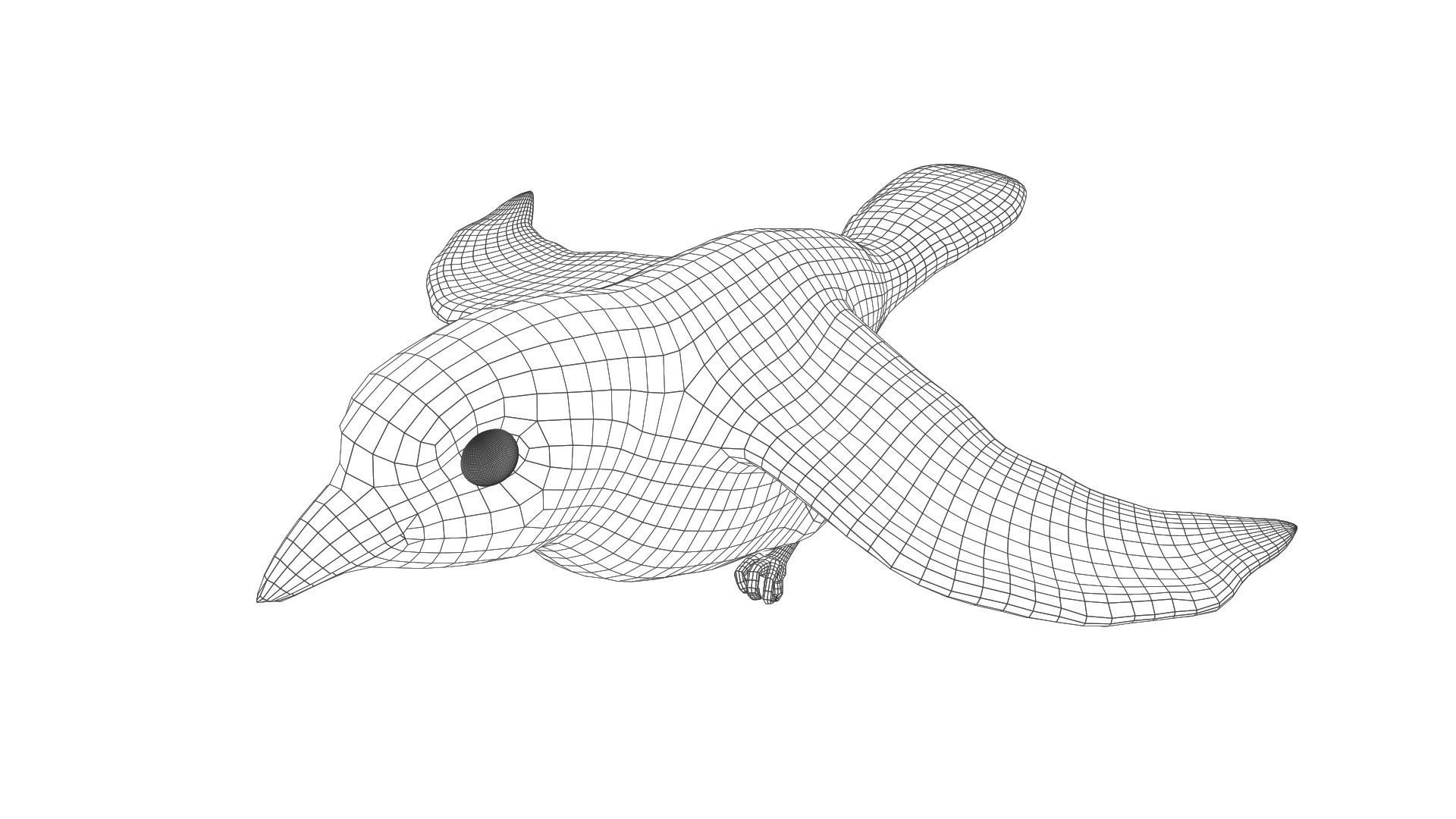 Achara Bird Free low-poly 3D model_5