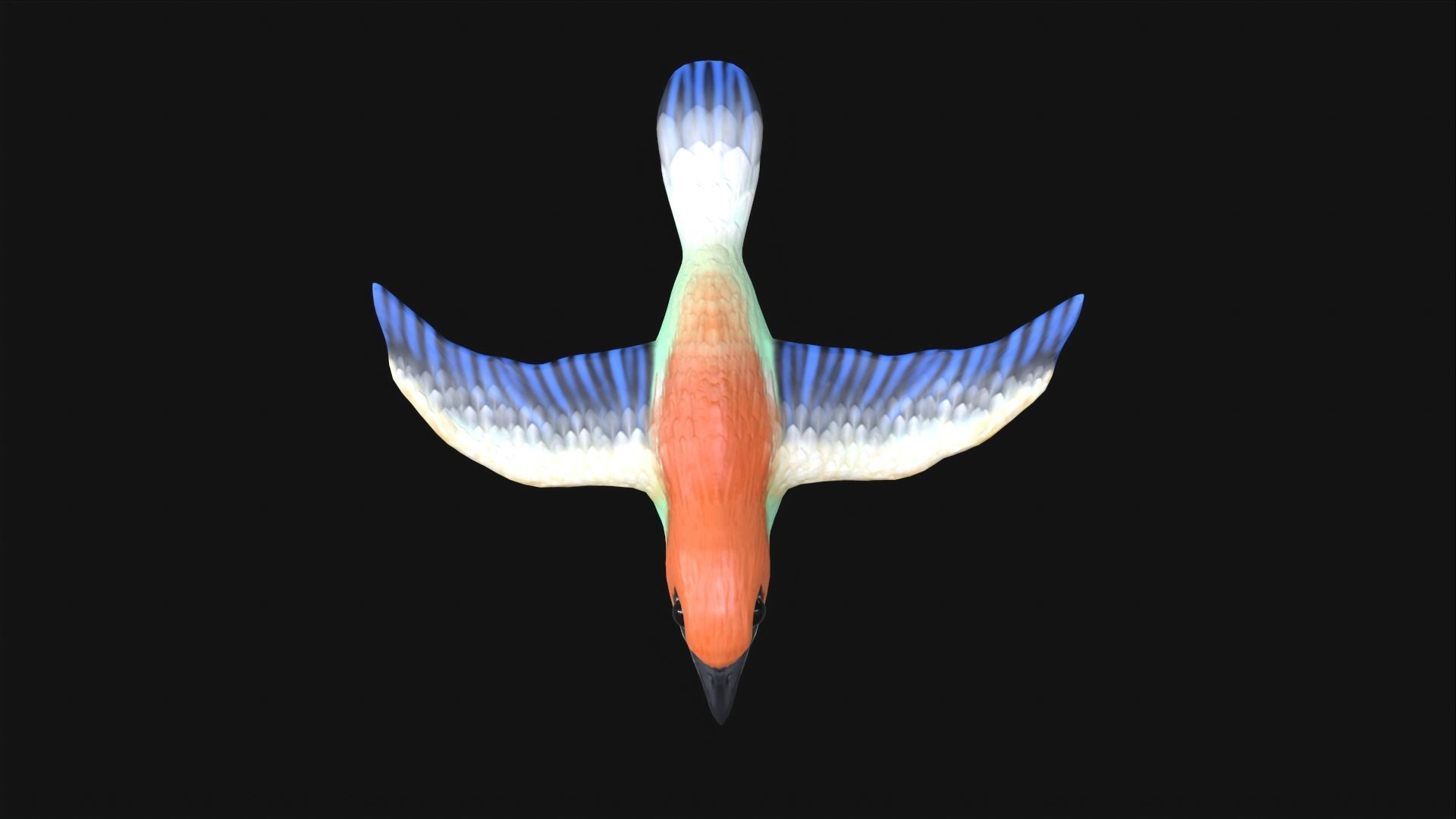 Achara Bird Free low-poly 3D model_6