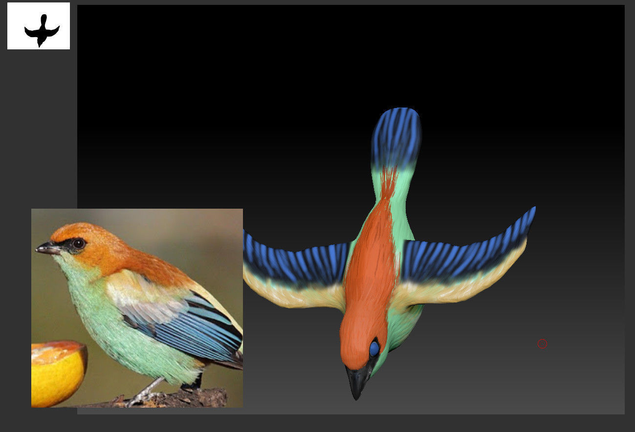 Achara Bird Free low-poly 3D model_7