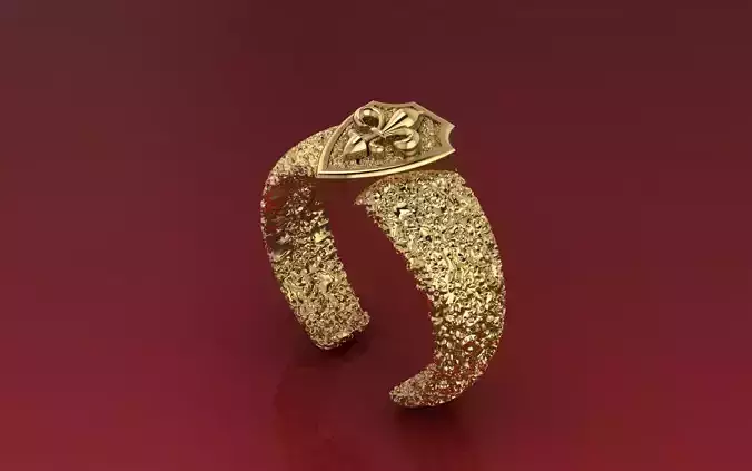 NEO MAN RING SPECIAL SERIES10