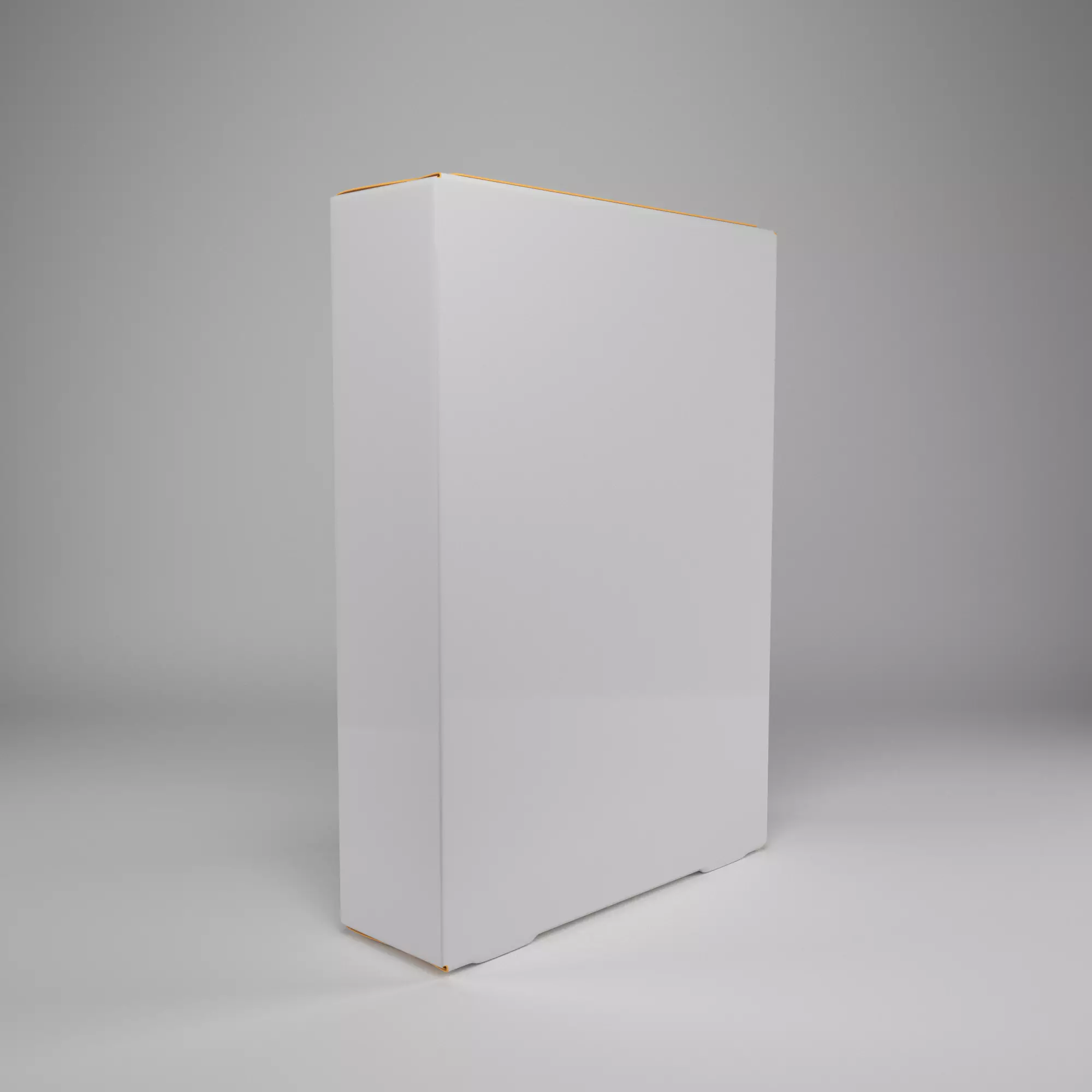 Mockup cardboard 01 3D model