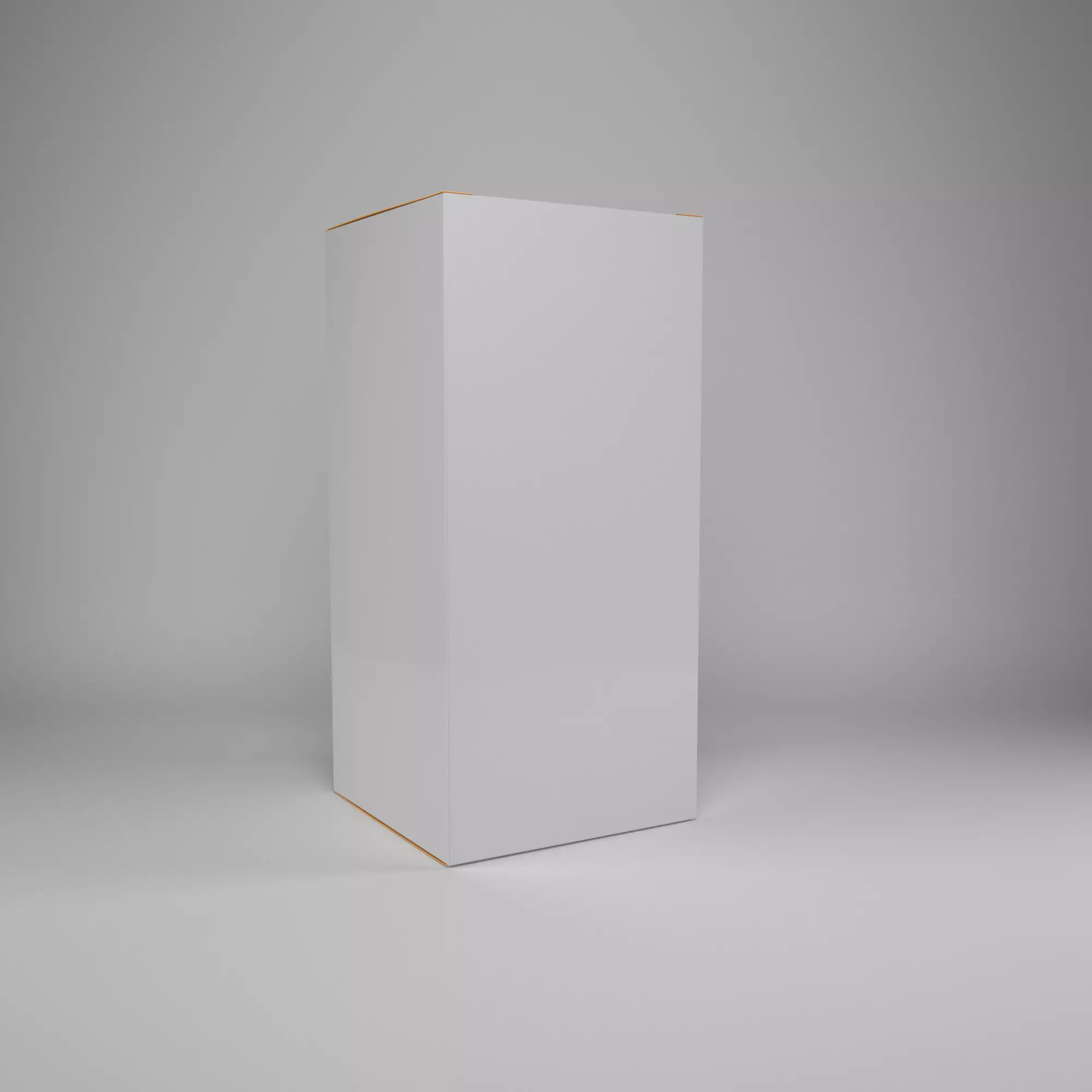 Mockup cardboard 02 3D model_0