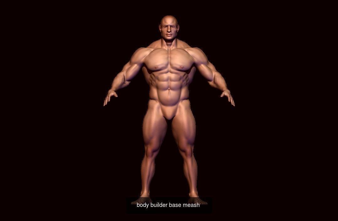 COLLECTION BODYBUILDER male _13