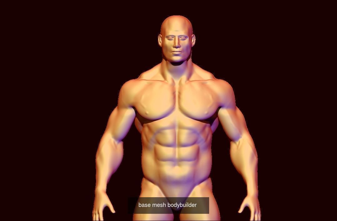 COLLECTION BODYBUILDER male _12