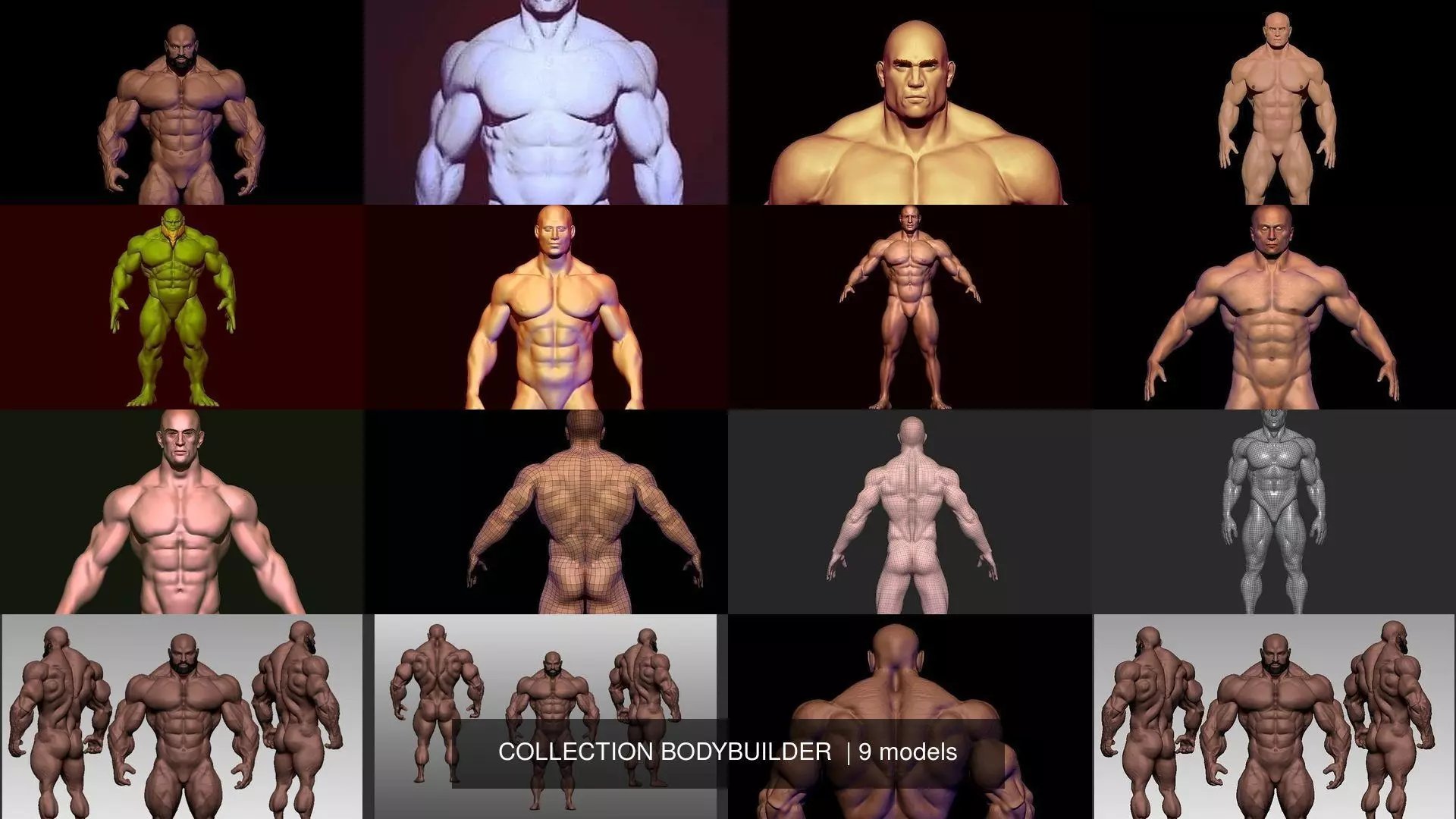 COLLECTION BODYBUILDER male _0