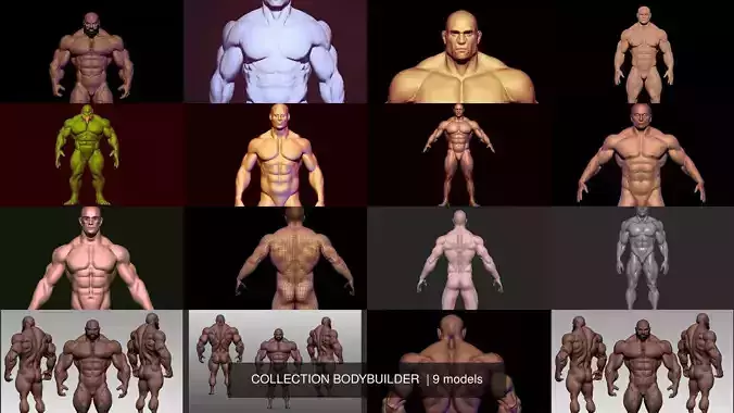 COLLECTION BODYBUILDER male 