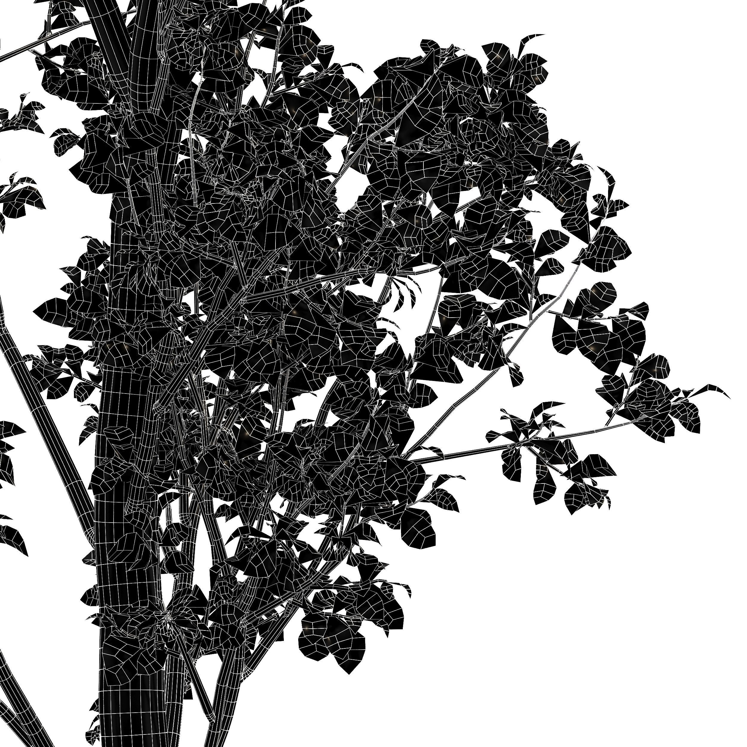 beautiful hazel leaves 3D model_5