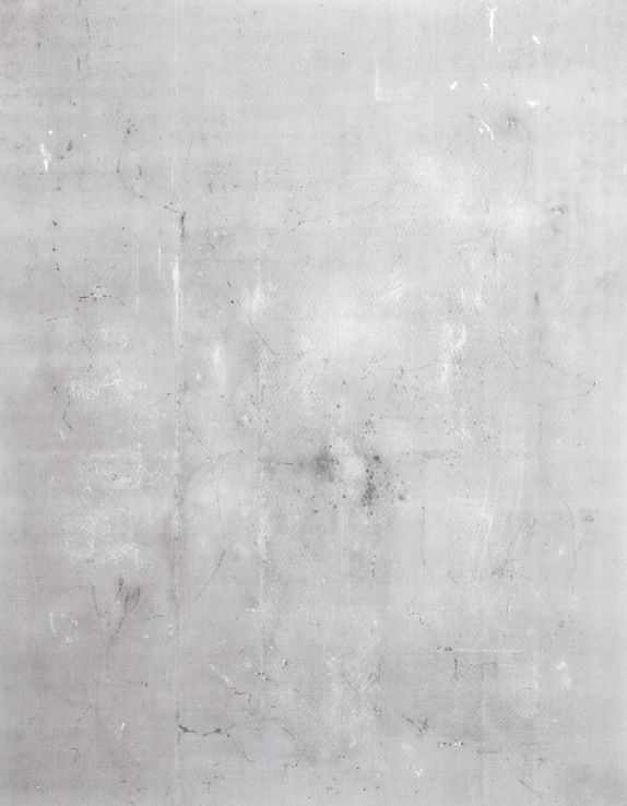 LIVING FREE 3D model_7