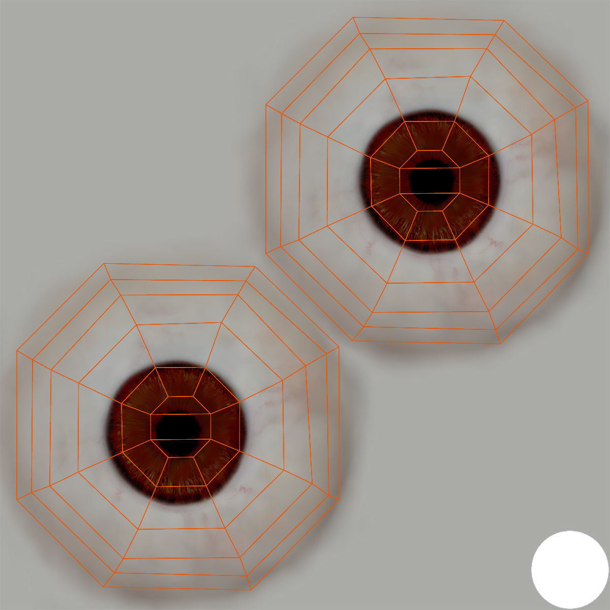 Female Character Rigged 3D model_22