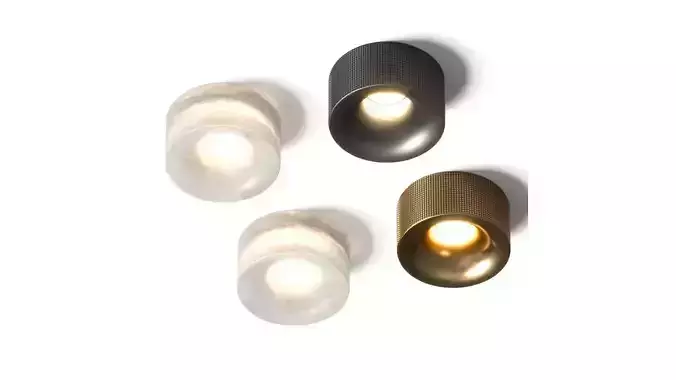 Aromas del Campo Focus Spotlight